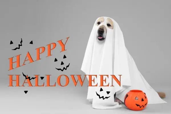 Happy Halloween from Bainbridge Lending Group, LLC